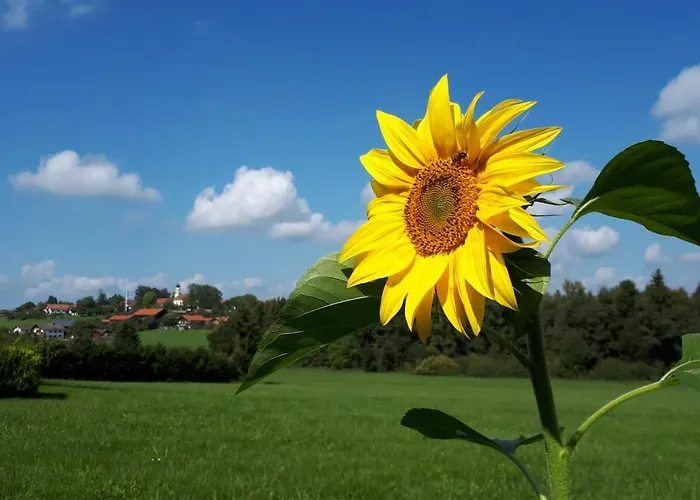 Schoene Helle Apartmán Eurasburg